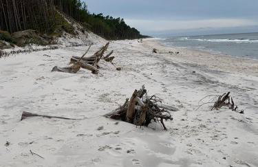 Apartament – 3 pokojowe dwupoziomowe mieszkanie z ogrodem - Foto 9