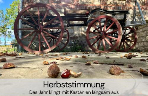 HexenburgbeiDresden 2 Zimmer Architektenwohnung mit eigener Sauna, Whirlwanne und Kamin - Nähe Sächsische Schweiz Dresden - Foto 37