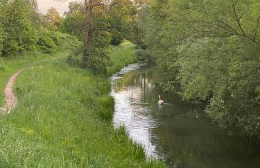 Elbinsel-Home ‘Alpakaliebe’ - Foto 19