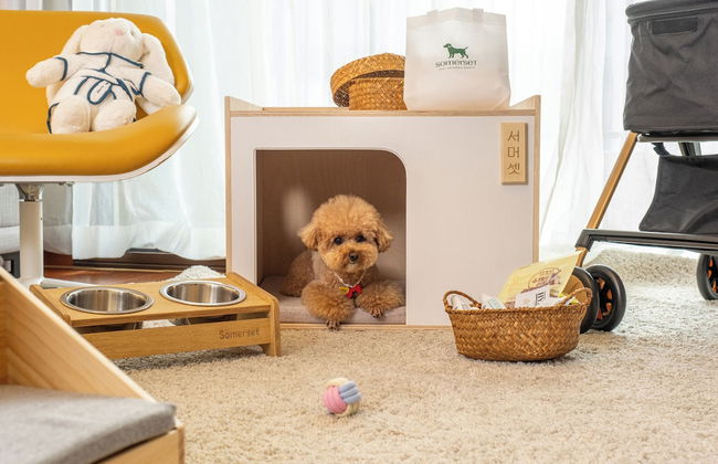 Somerset Jeju Shinhwa World - Photo 24