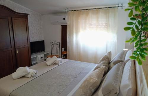 biodelfico, Policoro, Matera, Montalbano, mare - Photo 28