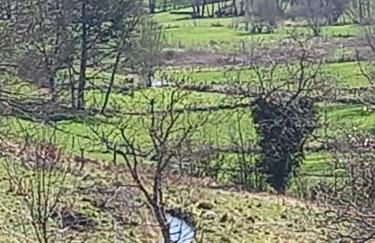 Alojamento Local Madre de Cima - Foto 7