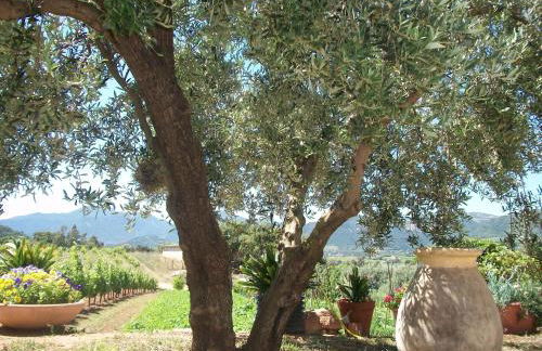 Monte Astili - Foto 4