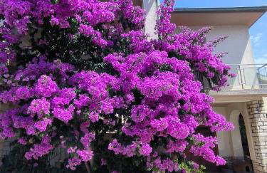 Apartments Villa Rosa - Foto 45