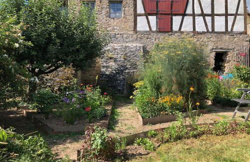 Gut Bunt Ferienhaus - Photo 34