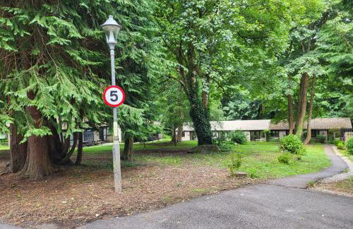 Bumbeldink - Foto 39