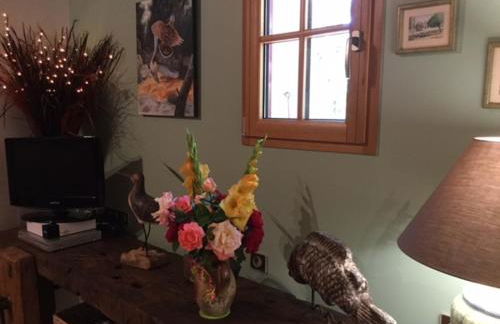 Gîte Les Iris - Foto 22