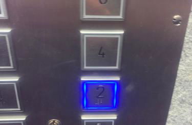 Ma première étoile - Foto 18