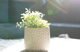 Bright and central apartment - Foto 10