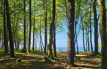 Apartament 11B Niebieskie Apartamenty z basenem krytym, odkrytym, salą zabaw, animacjami - Foto 35