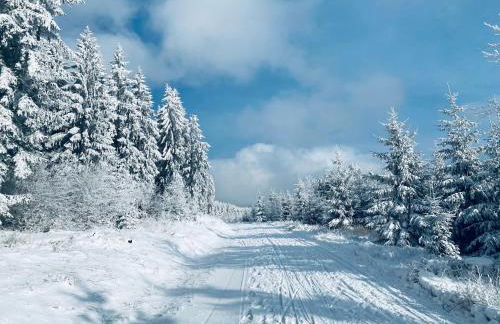 Chalet Hüttenzauber - Foto 29