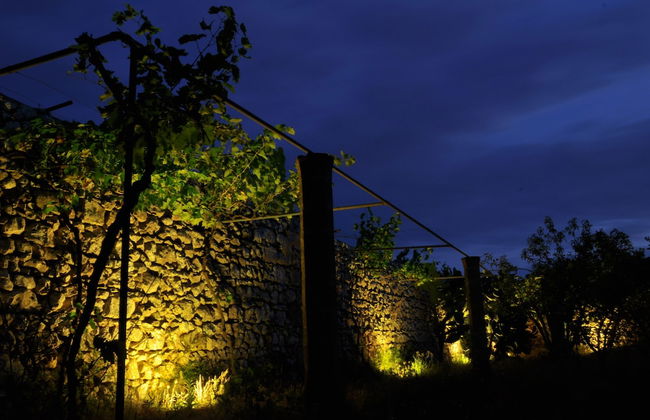 Masseria Uccio - Foto 30