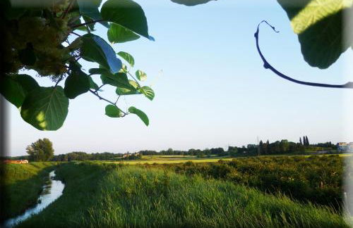 Agriturismo Podere dei kiwi - Foto 33