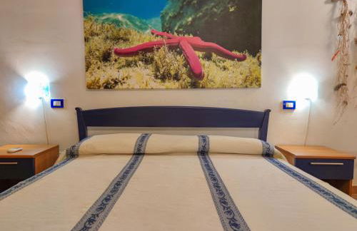 Domu Cannuja - Foto 31