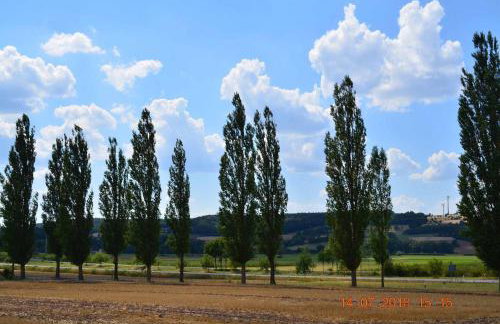 Villa Merzbach - Wohnen wie im Museum mit Komfort - Foto 2