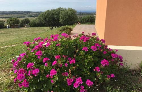 agriturismo gli olivastri, appartamento la rosa dei venti con piscina e solarium , vista mare ,climatizzatore ,wifi - Foto 27