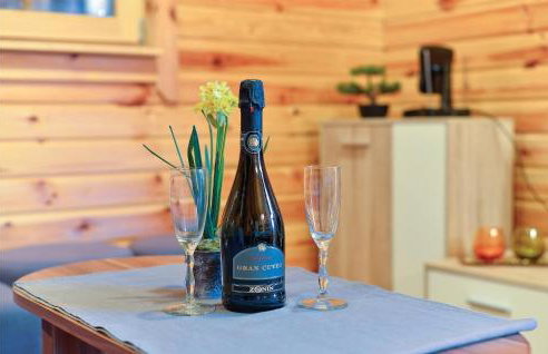 Beautiful Home In Radakovo With Sauna - Photo 23