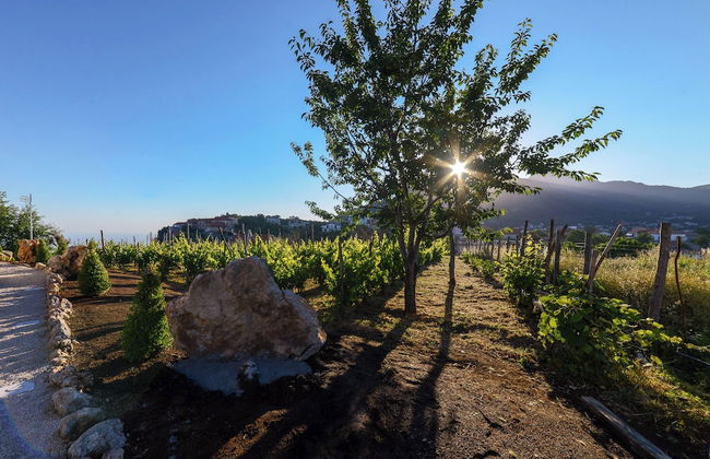 Antichi Orti Del Sole - Foto 45