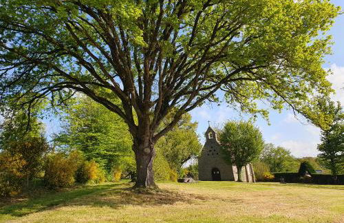 Les mimosas du Lac Vue panoramique sur le lac - Foto 35