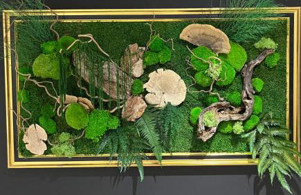 Pink Tropical Champagne - Foto 21