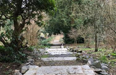 Apartment am Hutberg - Foto 12