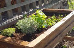 Dom na Warmii -Siedlisko Jabłonka - Foto 27