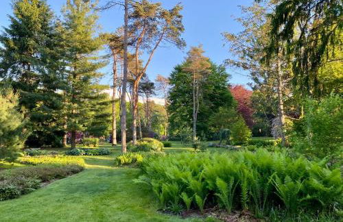 Spacious King Bed Suite at Antique Store - Foto 31