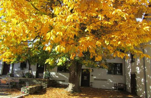 Bio Ferienhof Erzengel - Foto 30