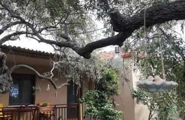 John and Tania's Garden - Photo 15