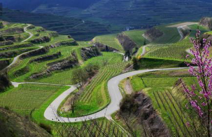 Villa Schloss Rimsingen Fine Apartments - Foto 27