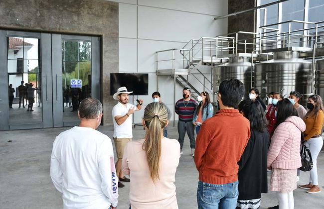 Tour por las bodegas del valle de la Concepción - Foto 2