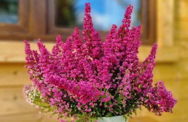 Domek w Ińsku - Foto 18