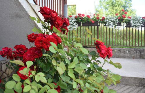 Apartman Rukavina - Foto 18