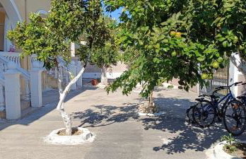 Tria Liodendra Corfu - Sea - Foto 46