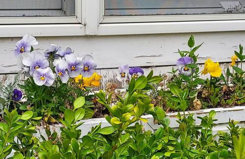 Southampton Village, 2 Fireplaces, Walk to All - Foto 41