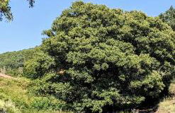 Apartamento Turístico Monteceli AT-CC-00748 - Foto 27