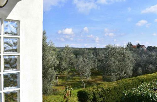 Apartments for families with children Sosi, Umag - 22546 - Photo 16