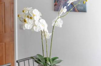 Family friendly Filton home with parking and WiFi - Foto 11