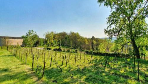 Farmhouse With Private Pool, Large Garden and Playground - Foto 2