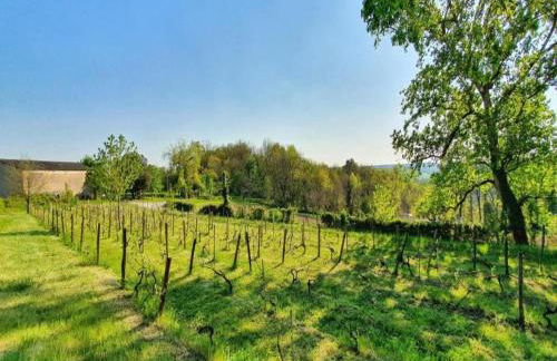 Farmhouse With Private Pool, Large Garden and Playground - Foto 2