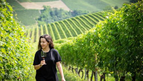 Cascina Baràc - Foto 5, Garden view