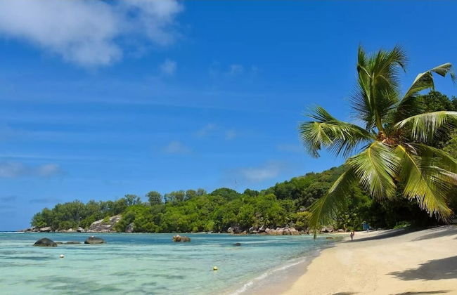 Chez Benoit Self Catering - Photo 38