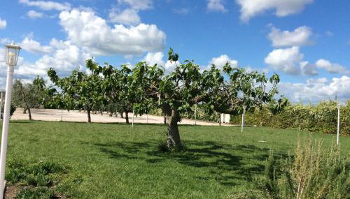 LA MASSARÌA agriresort - Foto 2