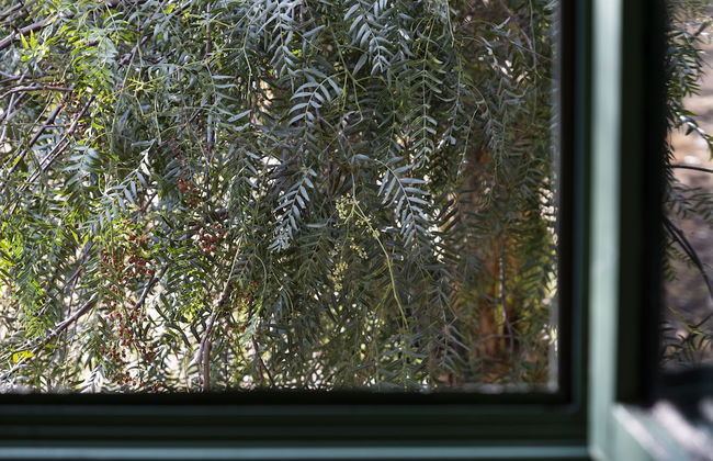 Agriturismo Baglio LÃ uria - Photo 37