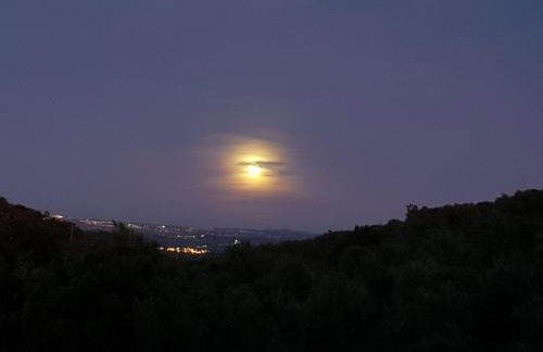 Quinta de Evoramonte - Foto 36