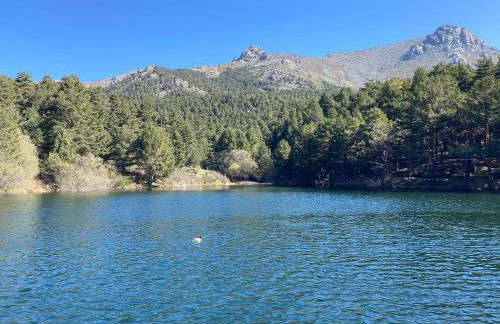 Los Cedros, gran chalet con piscina y apartamento en Navacerrada - Foto 43