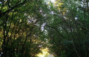 Vista para a Orla de VV - Foto 33