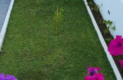 Casa da Água Quente 2 - Photo 35