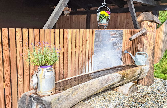 beim Kainzbauer - Foto 56