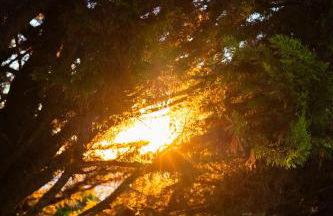 KABACEIRA VILLAGE - Photo 54